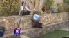 fox5sd67.jpg